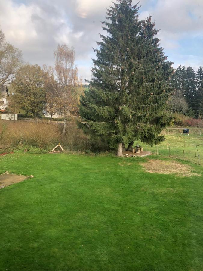 Haus Schneider Kaetchen Villa Deudesfeld Eksteriør bilde